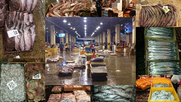 Дальневосточный аукционный рыбный дом (ДАРД) посетила рыбный рынок 