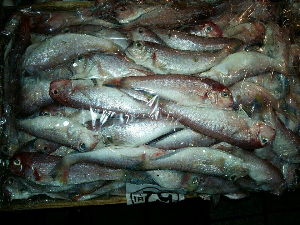 Рыбная биржа. Рыбная биржа Владивосток. Владивостокская рыбная биржа. Аукционы ВБР. Рыбные аукционы. Рыба во Владивостоке. Цена на рыбу. Дешевая рыба. Купить рыбу во Владивостоке. Оптовая покупка рыбы. Оптовая продажа рыбы. Купить рыбу на аукционе. Сайт по продаже рыбы. ДВРБ. ДАРТ. Дальневосточный аукционный рыбный дом. Лелюхин Сергей Егорович. Купить консервы. Купить рыбопродукцию. Продать консервы. Продать рыбопродукцию.