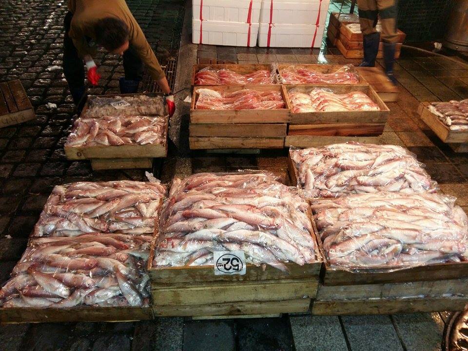 Рыбная биржа. Рыбная биржа Владивосток. Владивостокская рыбная биржа. Аукционы ВБР. Рыбные аукционы. Рыба во Владивостоке. Цена на рыбу. Дешевая рыба. Купить рыбу во Владивостоке. Оптовая покупка рыбы. Оптовая продажа рыбы. Купить рыбу на аукционе. Сайт по продаже рыбы. ДВРБ. ДАРТ. Дальневосточный аукционный рыбный дом. Лелюхин Сергей Егорович. Купить консервы. Купить рыбопродукцию. Продать консервы. Продать рыбопродукцию.